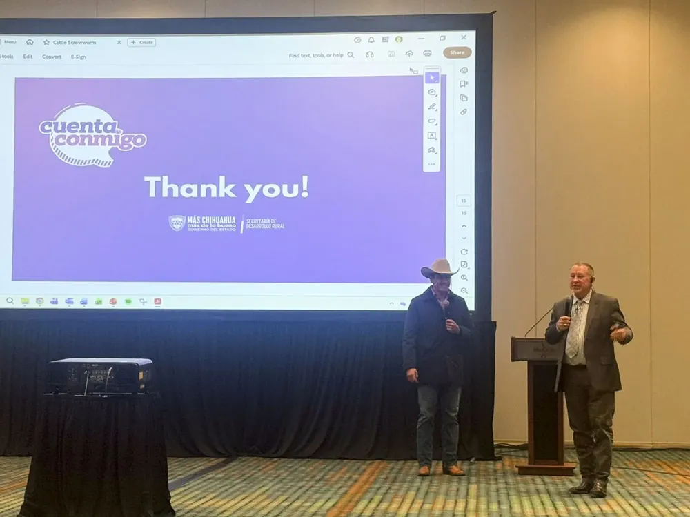 CHIHUAHUA EXPONE GUSANO B12