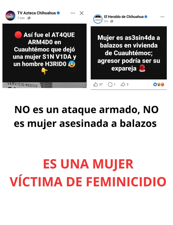 651000239_1339307954885337_4865630123159354342_n