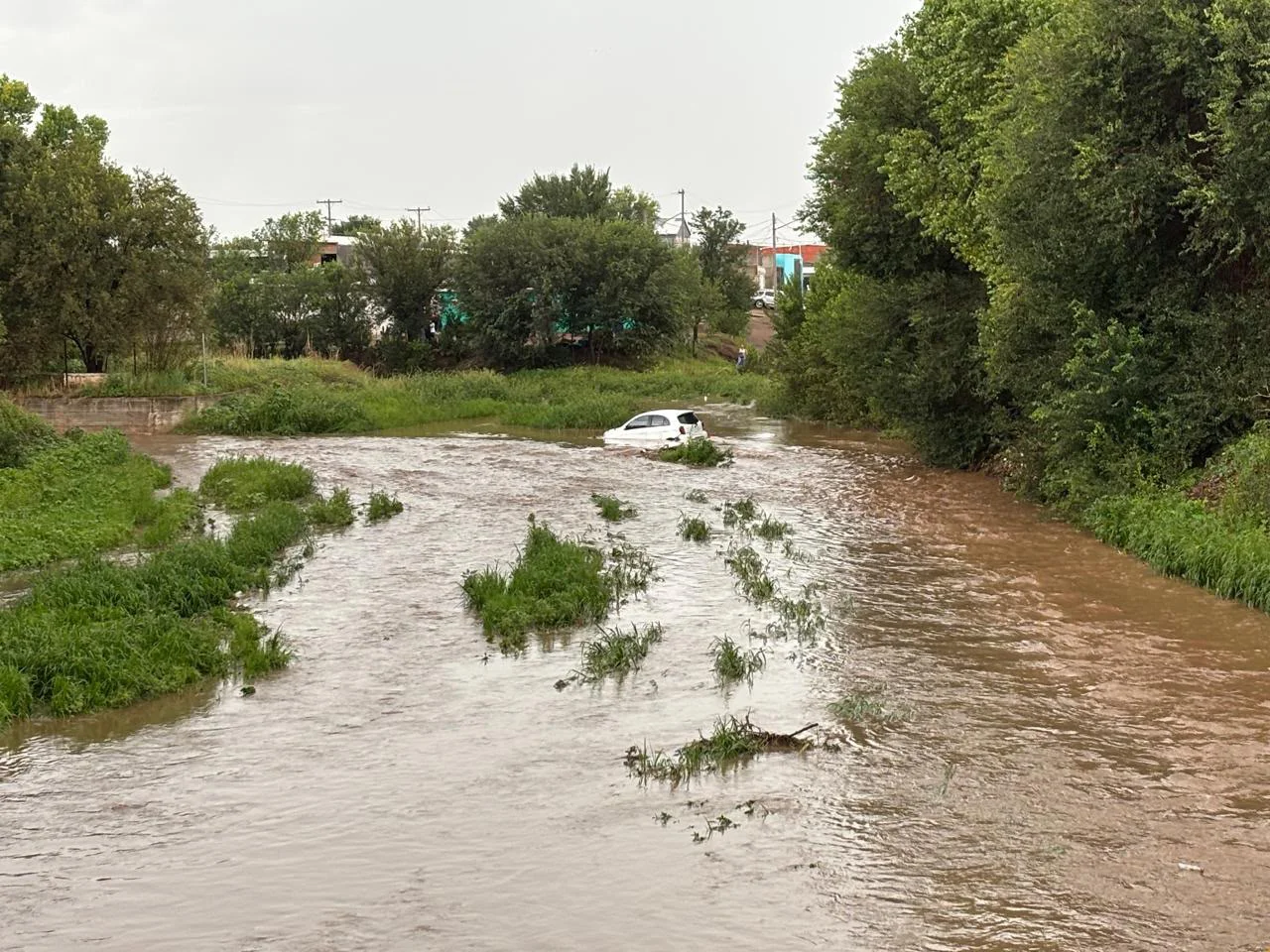 SALDO LLUVIAS CUAUHTEMOC2