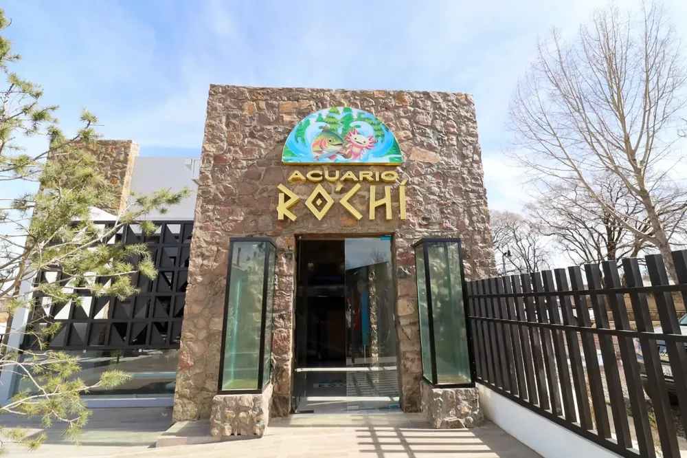 CAMBIO IMAGEN GUACHOCHI2