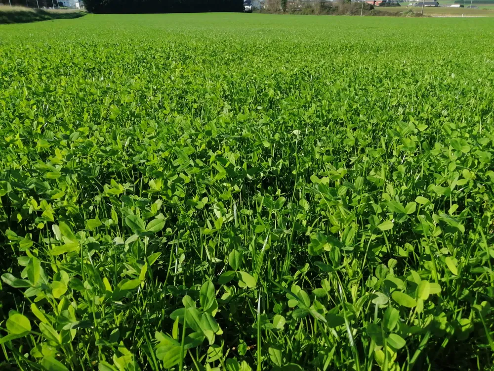 58653f64-d208-4a7b-81c6-d873a26ac9bc