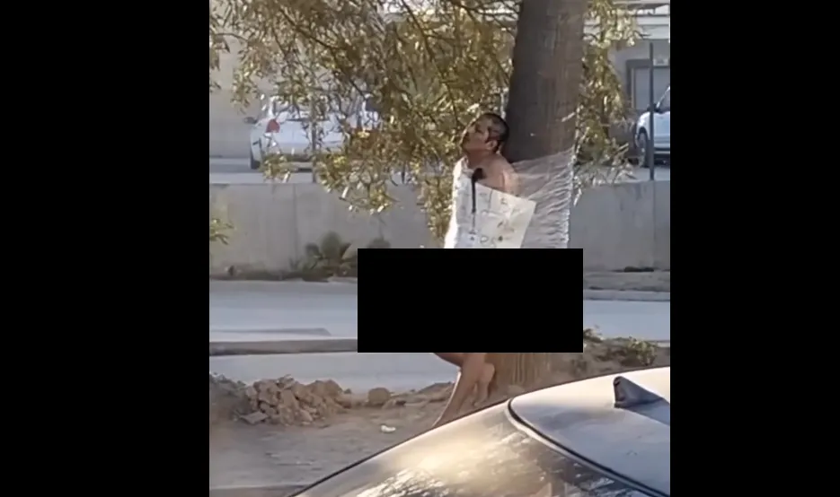 PERSONA ATADA ARBOL DELICIAS