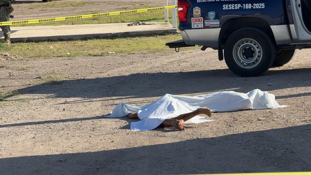 HALLAN 2 CUERPOS ALDAMA1
