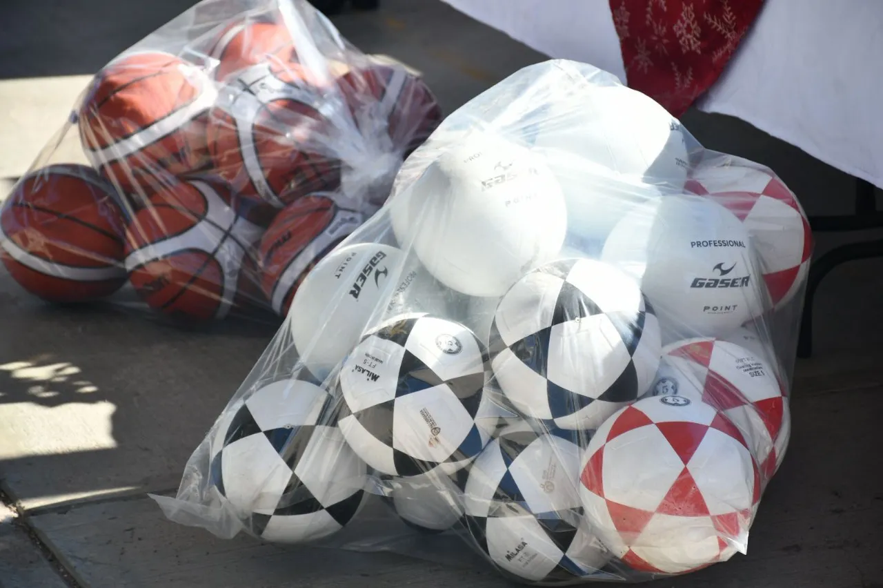 ENCABEZA CHINA FRIAS2