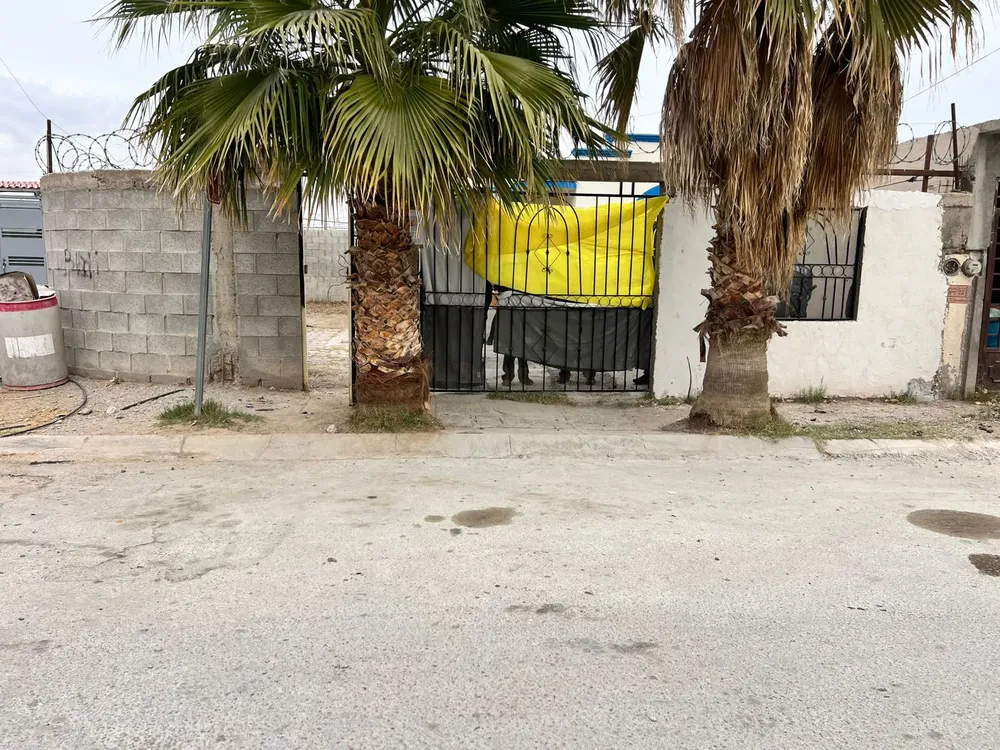 WhatsApp Image 2026-01-07 at 11.41.16 AM (1)