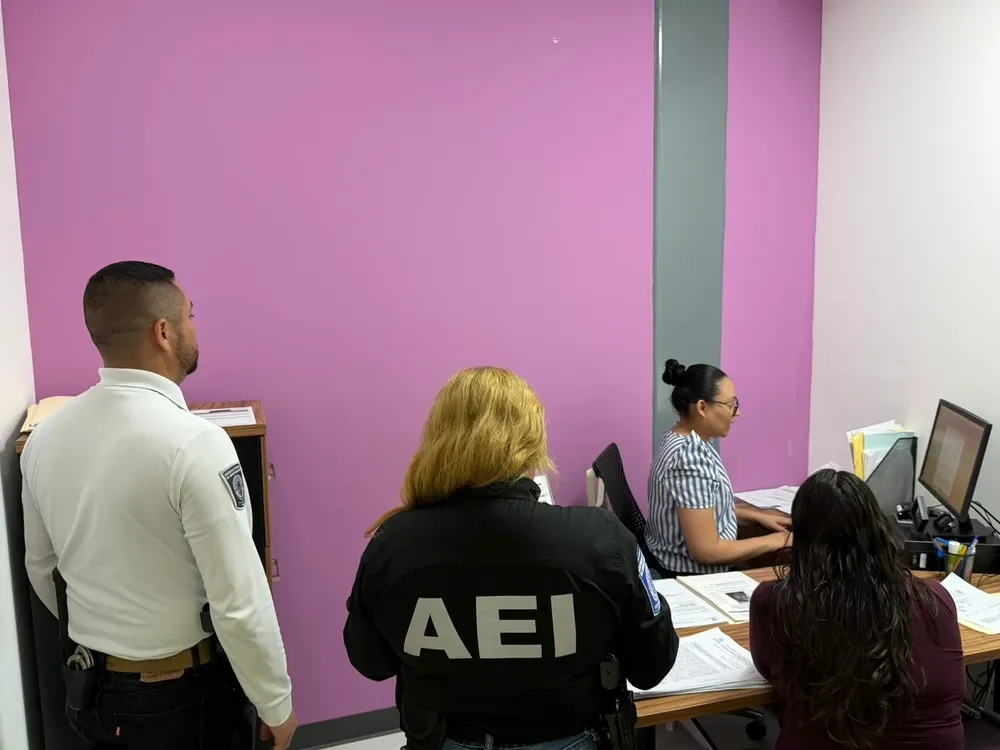 ede2f237-39dc-4de5-b9c8-18873701bebb