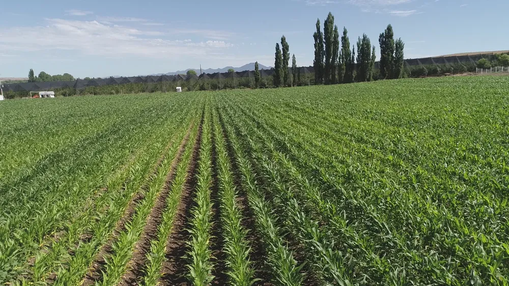 32e0974a-4432-449d-81a8-ce7e8941ae54