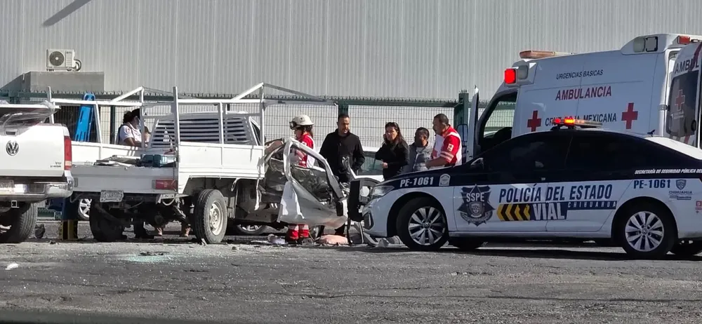 WhatsApp Image 2026-01-08 at 1.25.24 PM