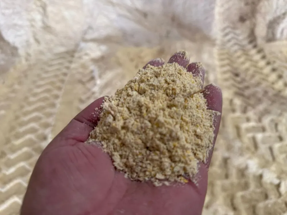 9c8e6f2f-a240-4ef4-aa02-2c5ee6ff2706