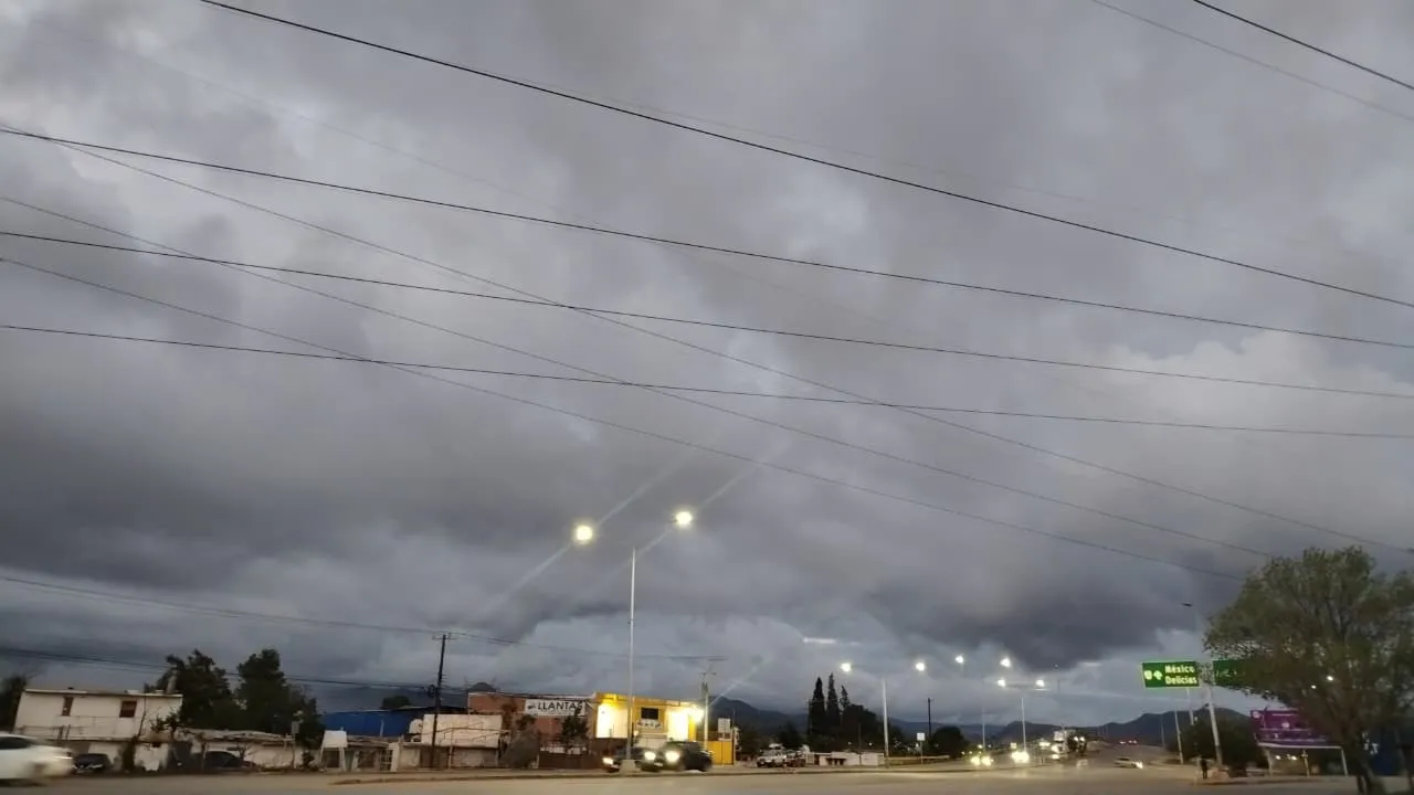 WhatsApp Image 2025-10-23 at 2.28.56 PM