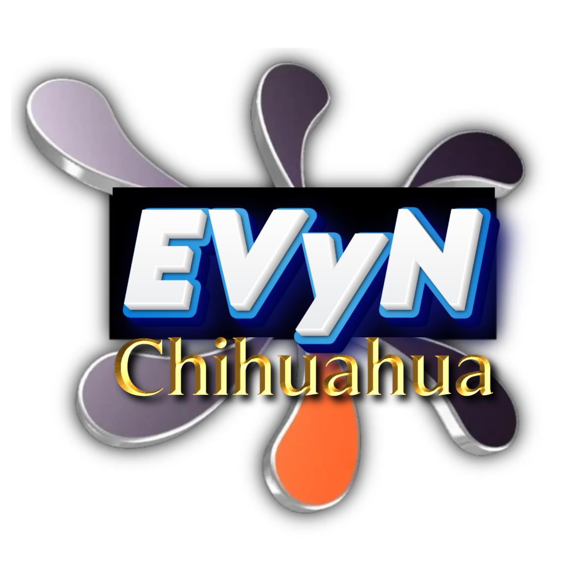 evynchihuahua